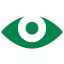 Vision Icon